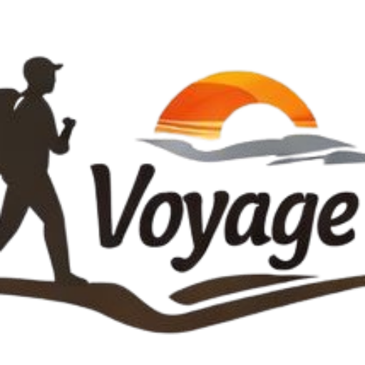Logo Voyage Solo